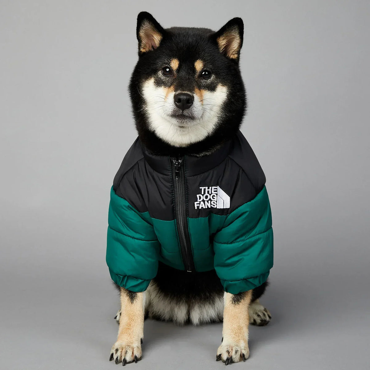 Warm Winter Dog Jacket – Thick Padded Coat for Small & Medium Dogs