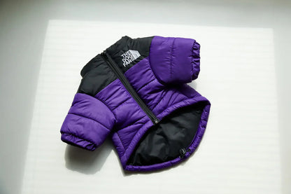Warm Winter Dog Jacket – Thick Padded Coat for Small & Medium Dogs