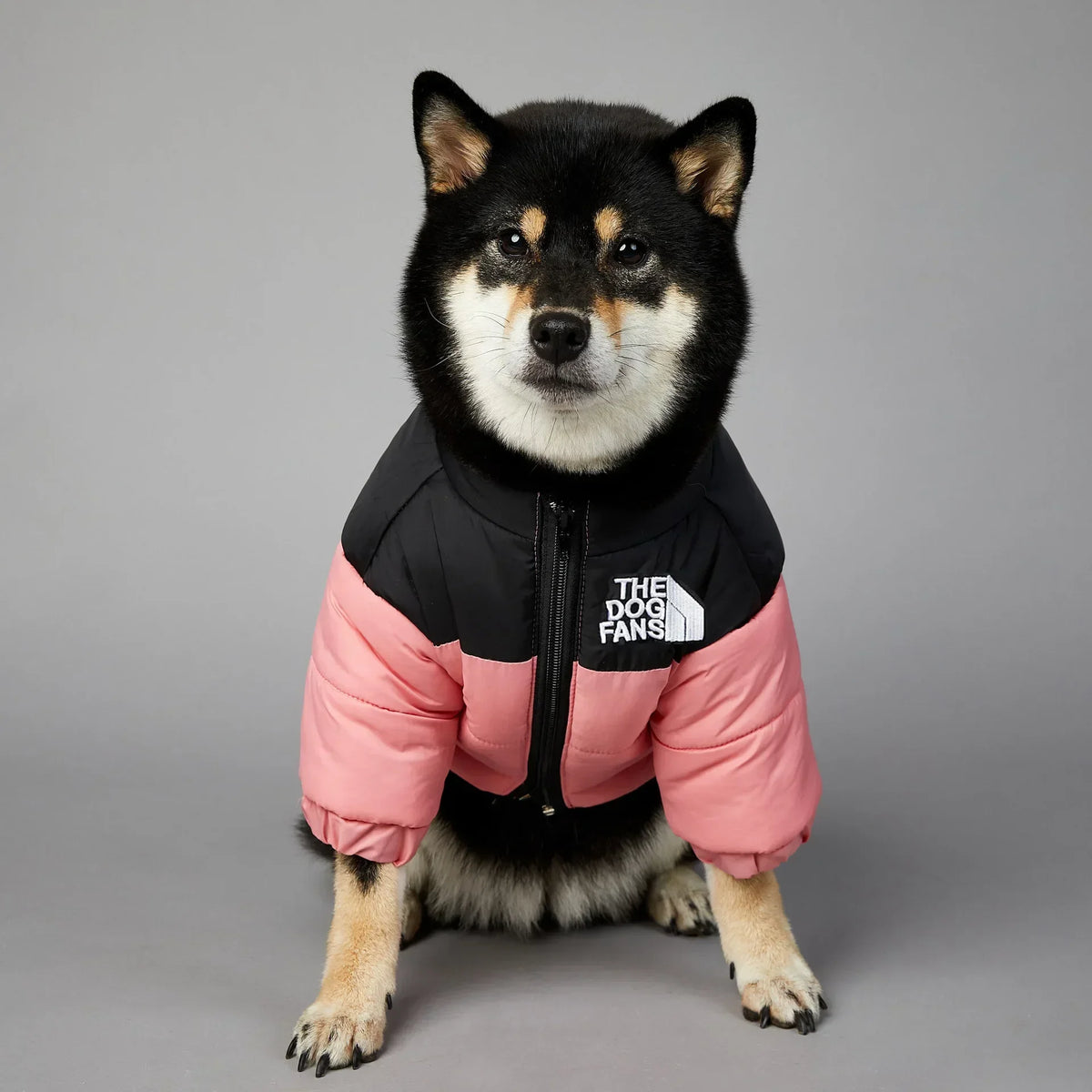 Warm Winter Dog Jacket – Thick Padded Coat for Small & Medium Dogs