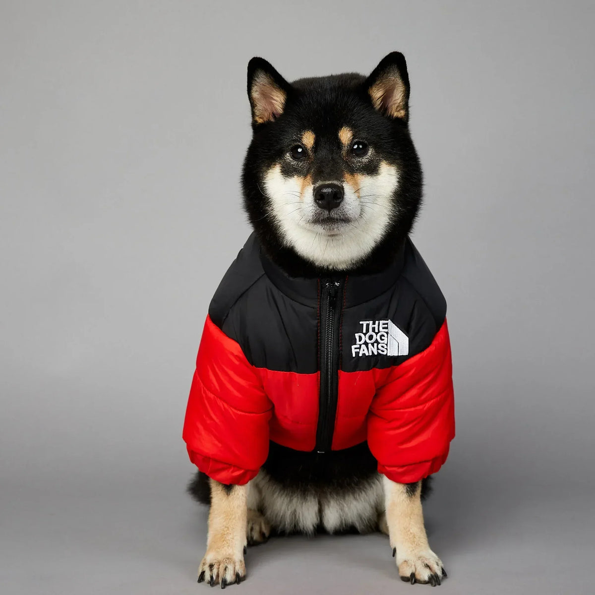 Warm Winter Dog Jacket – Thick Padded Coat for Small & Medium Dogs