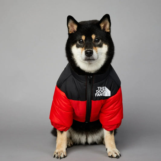 Warm Winter Dog Jacket – Thick Padded Coat for Small & Medium Dogs