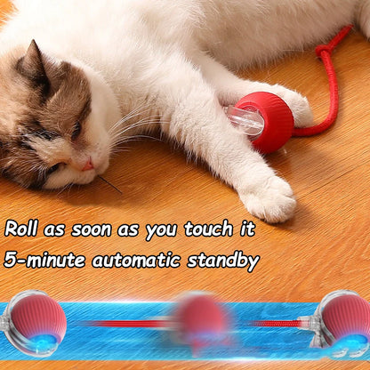 Smart Rolling Ball Cat Toy – Rechargeable Automatic Interactive Toy with Faux Tail