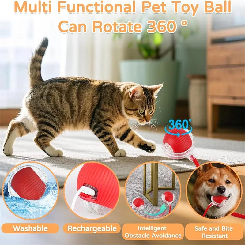 Smart Rolling Ball Cat Toy – Rechargeable Automatic Interactive Toy with Faux Tail