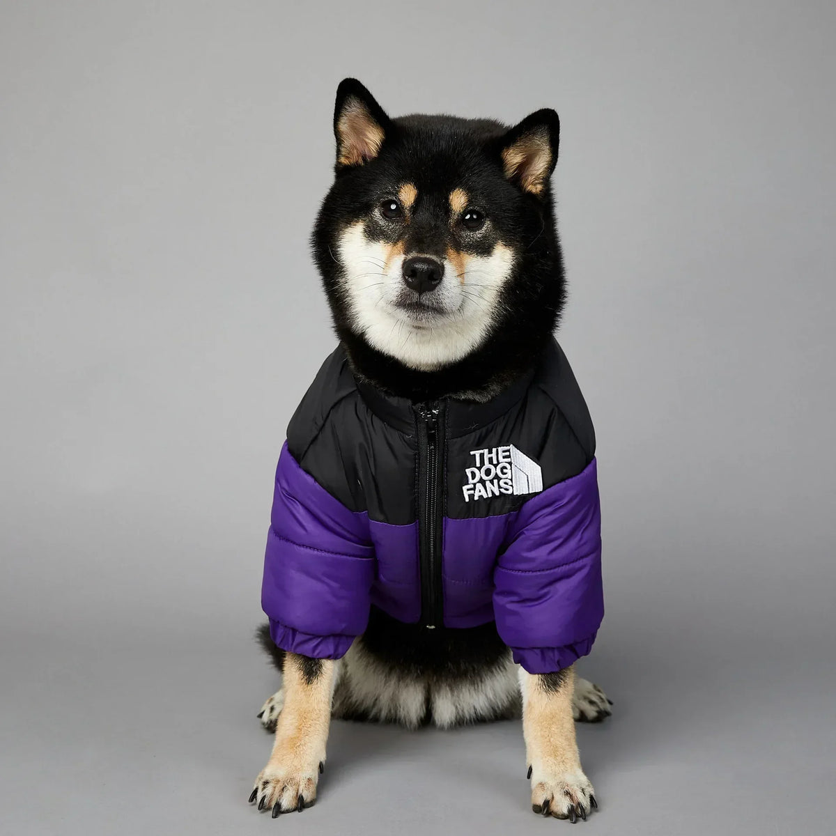 Warm Winter Dog Jacket – Thick Padded Coat for Small & Medium Dogs