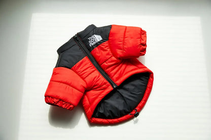 Warm Winter Dog Jacket – Thick Padded Coat for Small & Medium Dogs