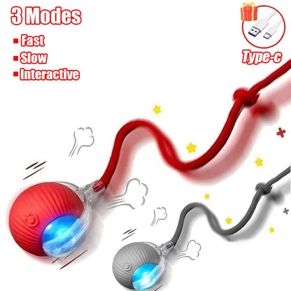 Smart Rolling Ball Cat Toy – Rechargeable Automatic Interactive Toy with Faux Tail