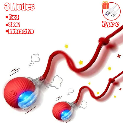 Smart Rolling Ball Cat Toy – Rechargeable Automatic Interactive Toy with Faux Tail